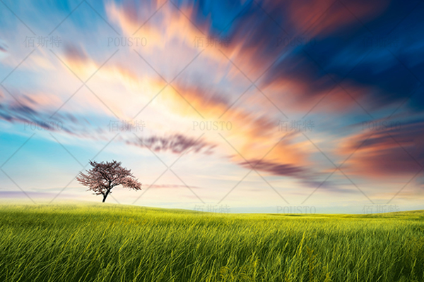 性能優良,風速調節